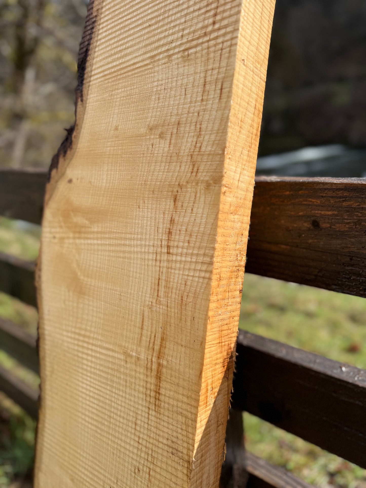 Live Edge Ash Slab - 123" x 12" x 2.5"