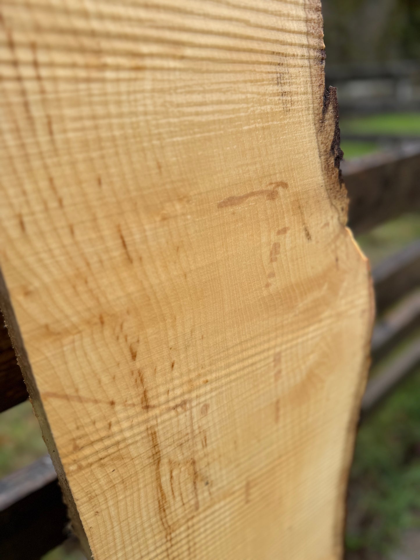 Live Edge Ash Slab - 123" x 12" x 2.75"
