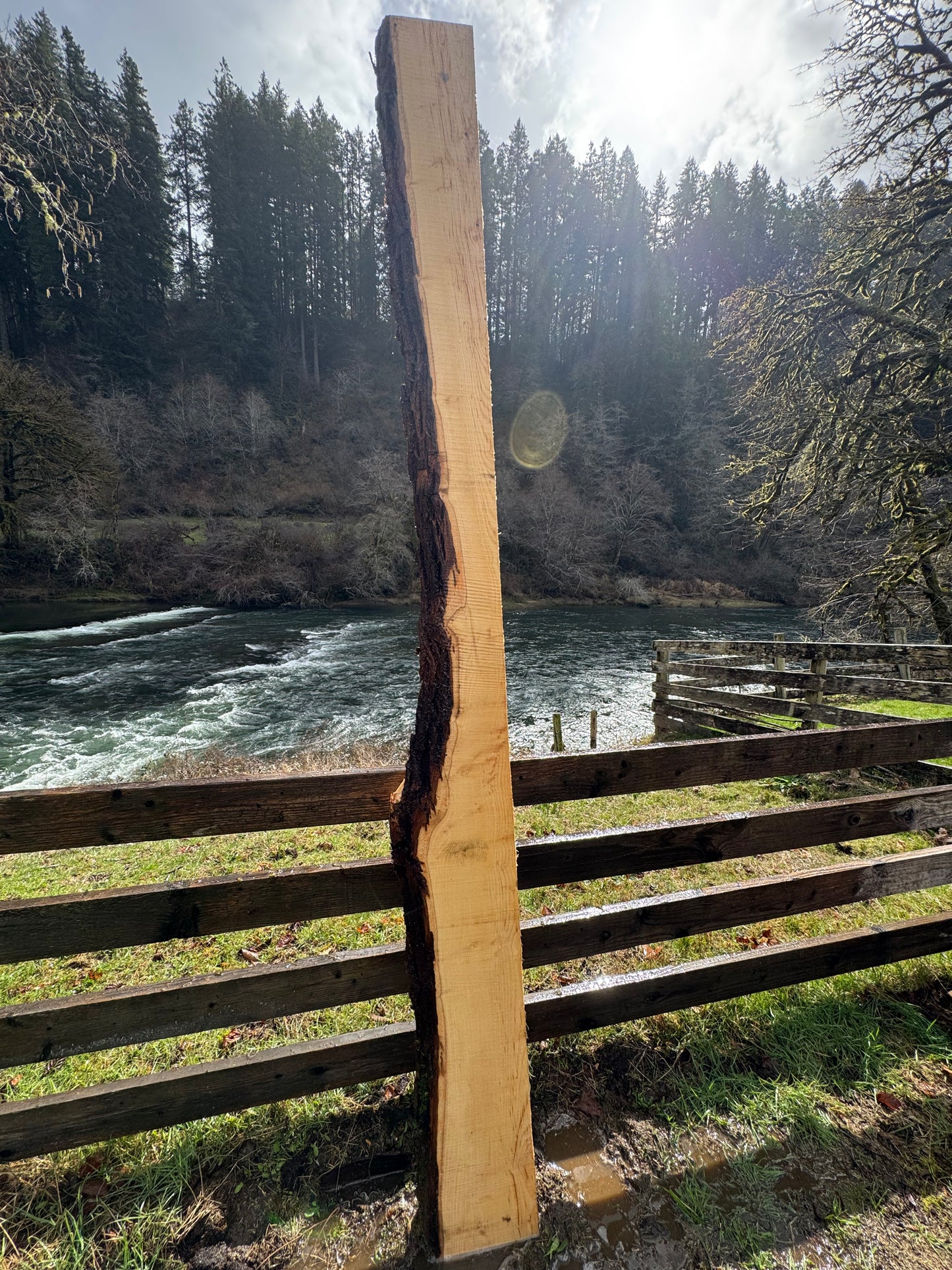 Live Edge Ash Slab - 123" x 12" x 2.75"