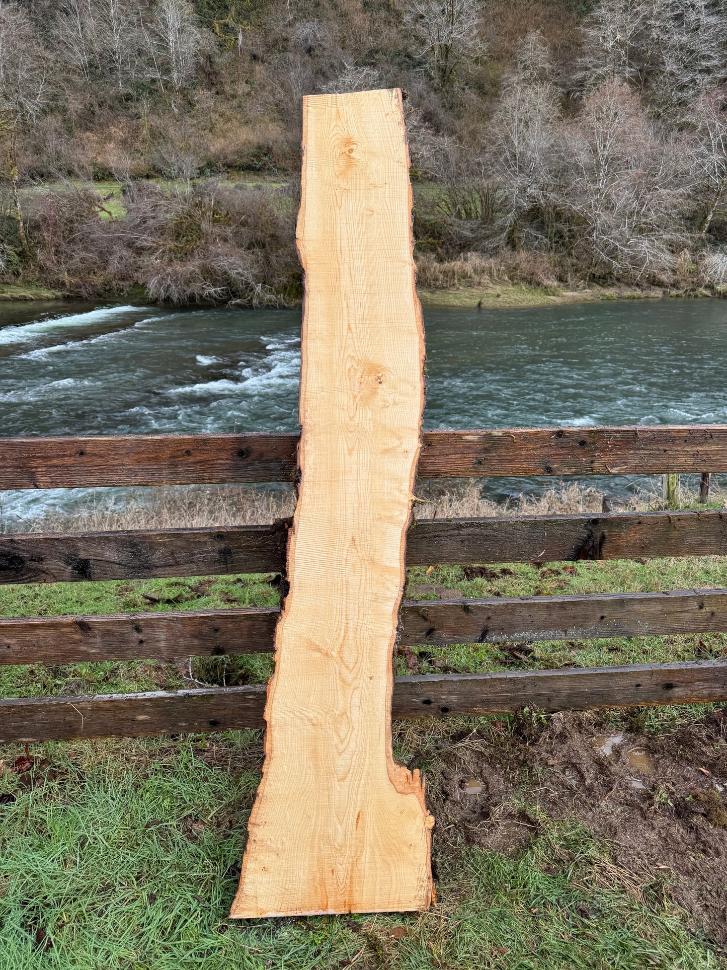 Ash Slab Live Edge - 86" x 19" x 3"