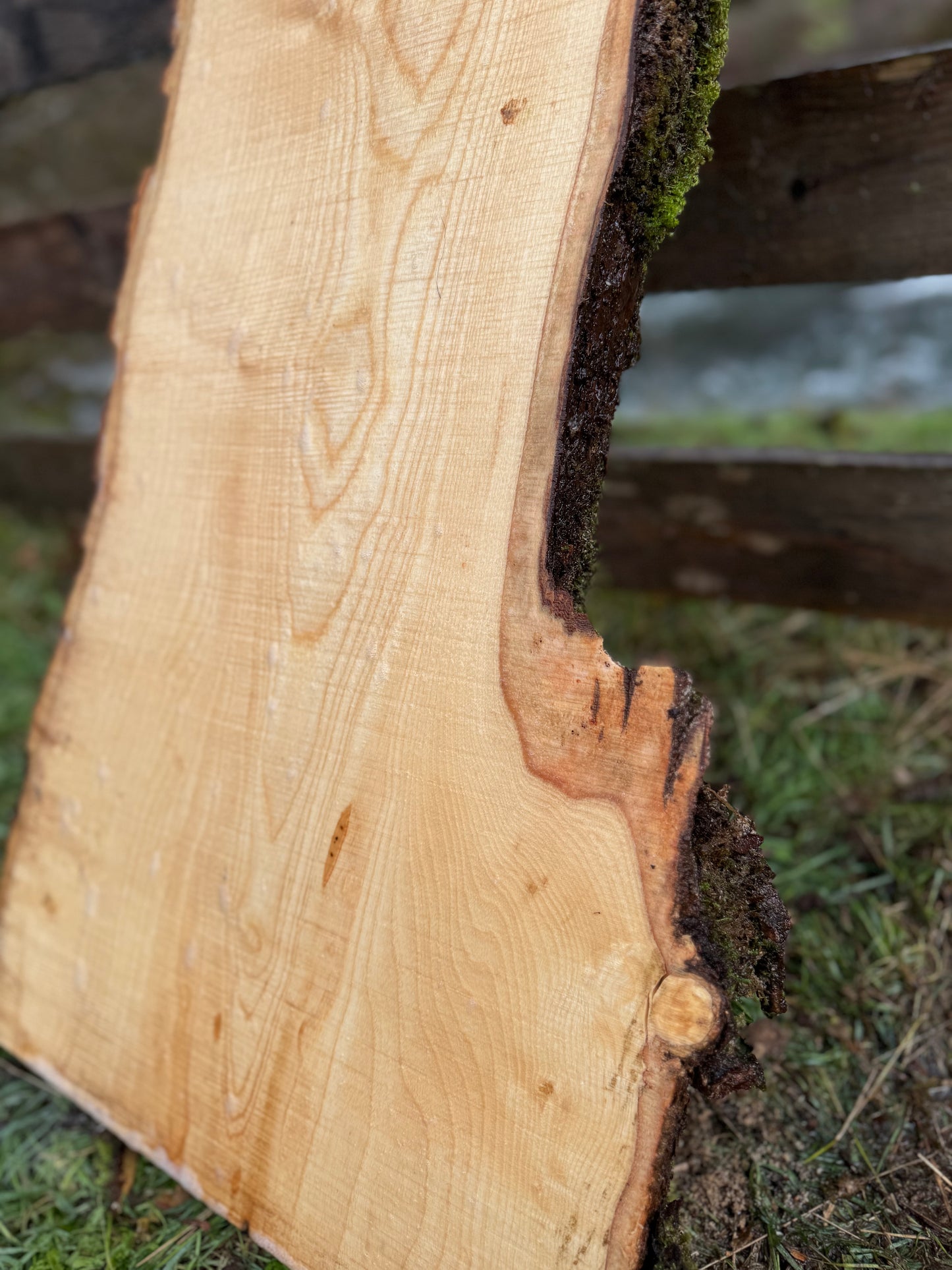 Ash Slab Live Edge - 86" x 19" x 3"