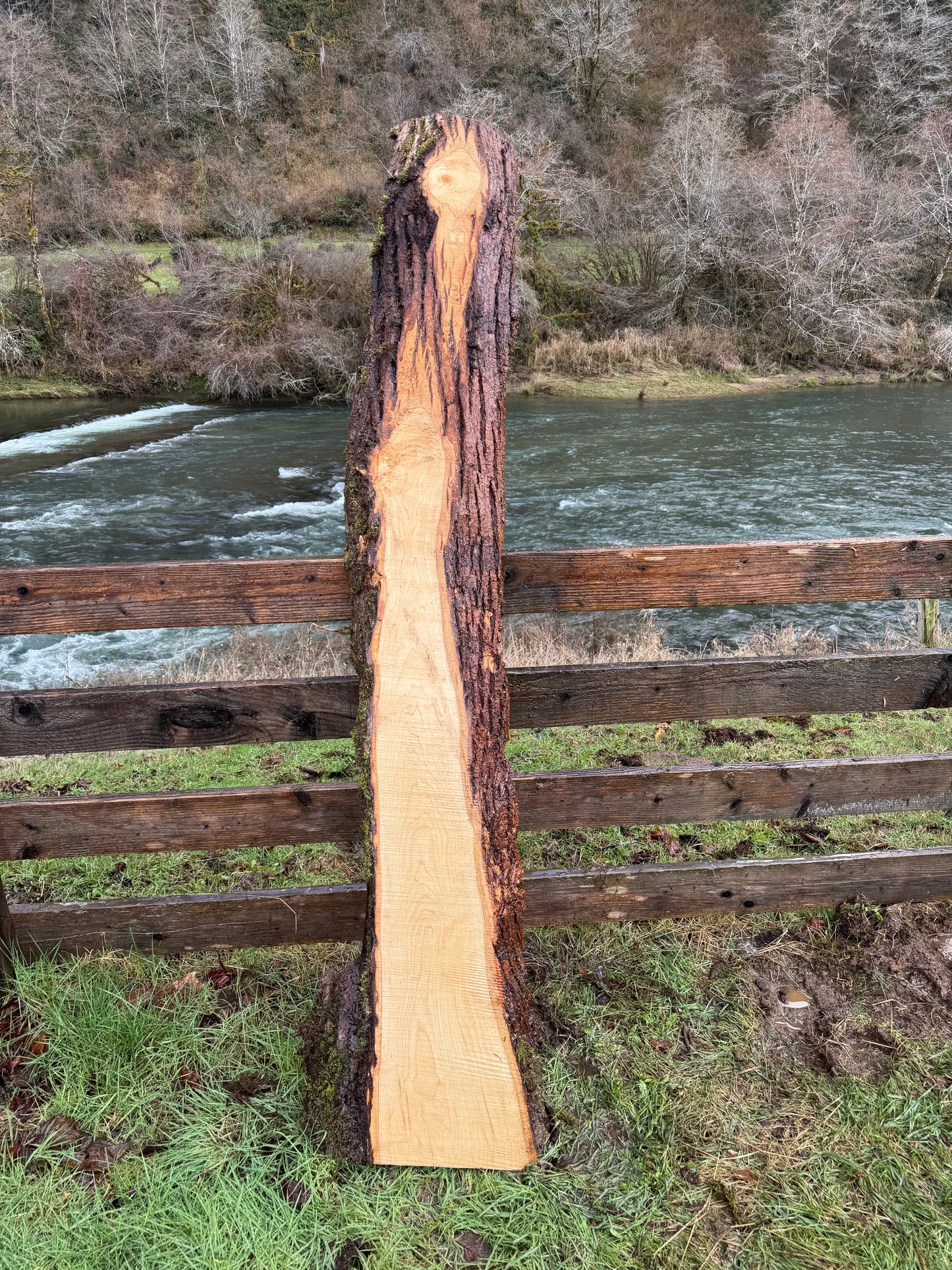 Ash Slab Live Edge - 86" x 19" x 3"