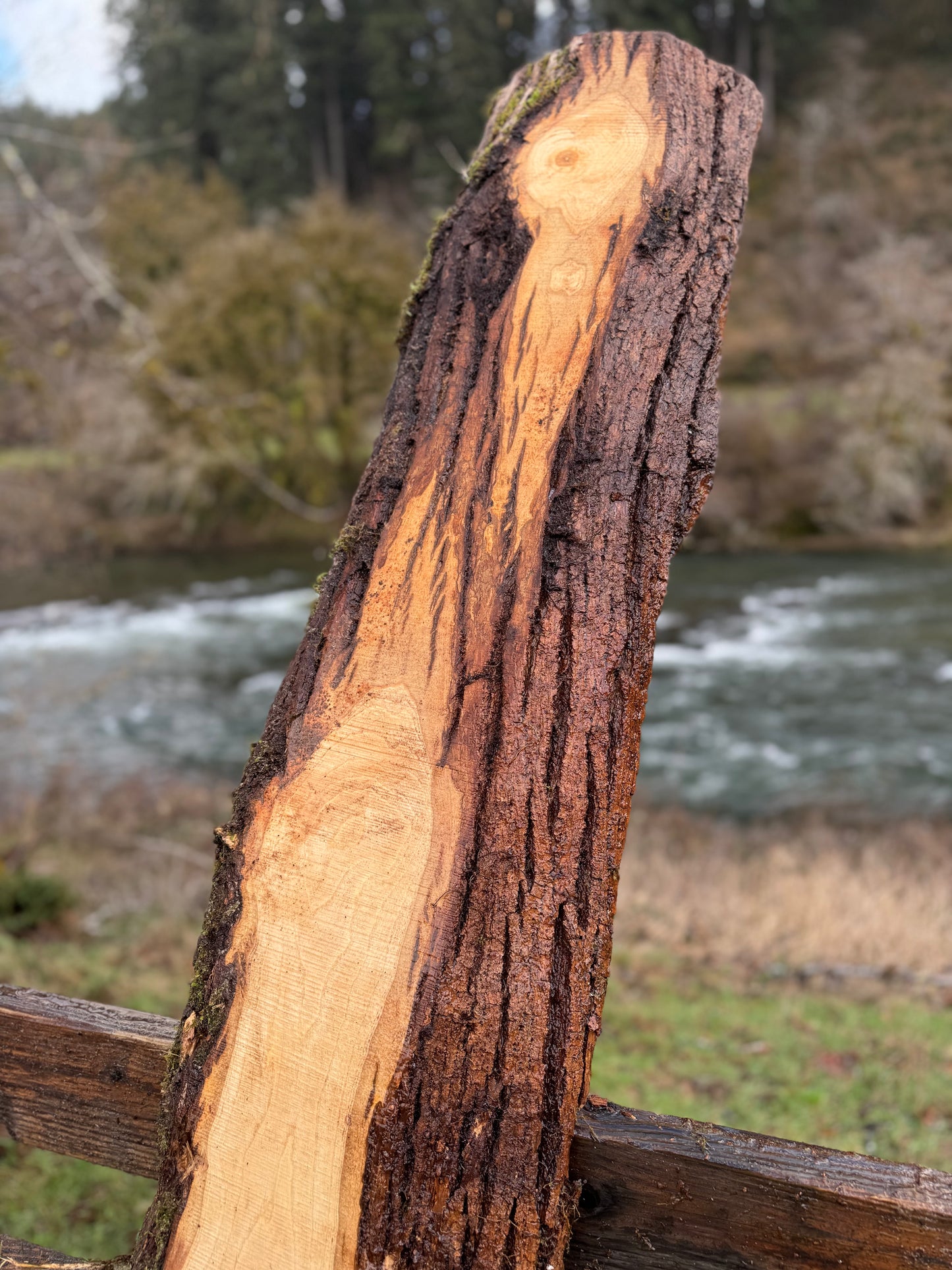 Ash Slab Live Edge - 86" x 19" x 3"