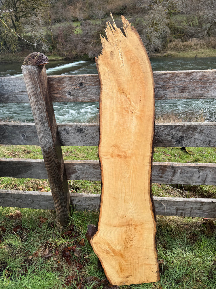 Live Edge Ash 56" x 16" x 3"
