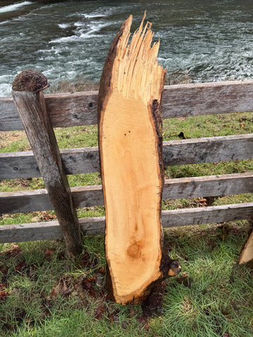 Live Edge Ash 56" x 16" x 3"