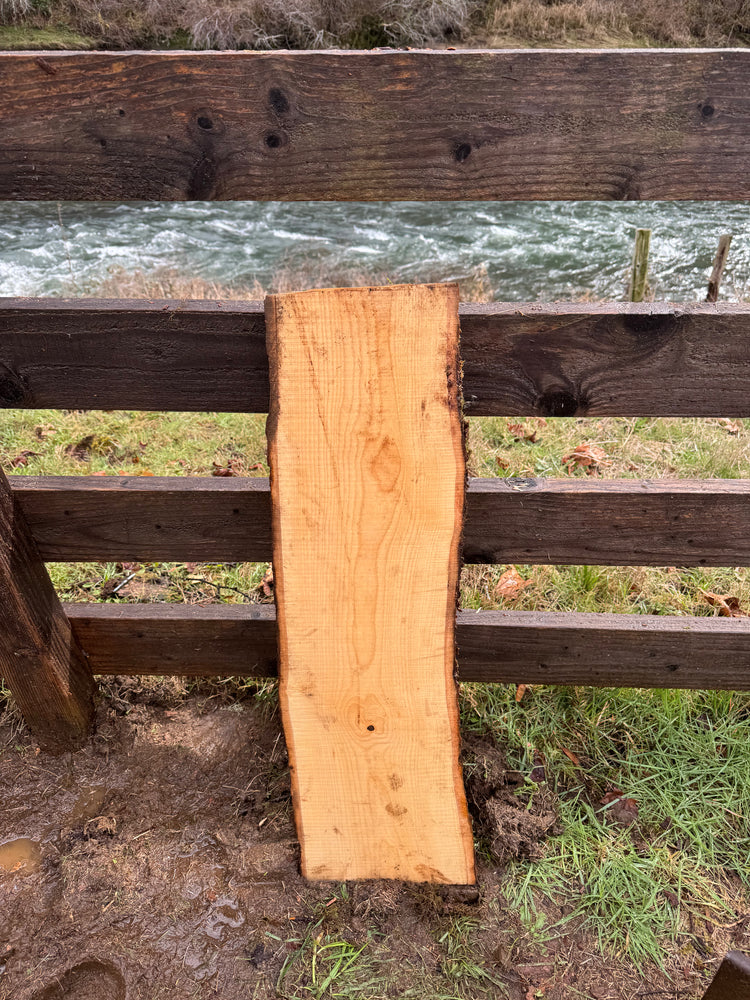 Live Edge Ash Slab 35" x 10" x 2"