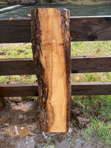 Live Edge Ash Slab 35" x 10" x 2"