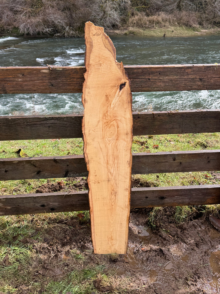 Live Edge Ash Slab 52" x 11" x 1.375"