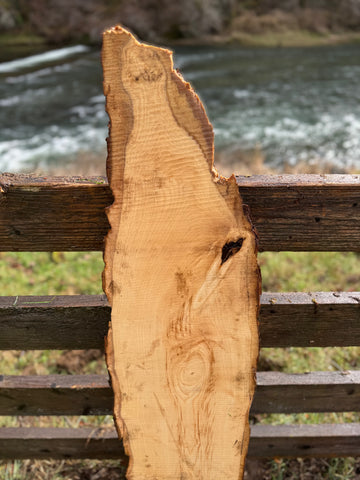Live Edge Ash Slab 52" x 11" x 1.375"