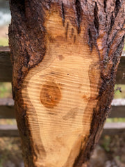 Live Edge Ash Slab 52" x 11" x 1.375"