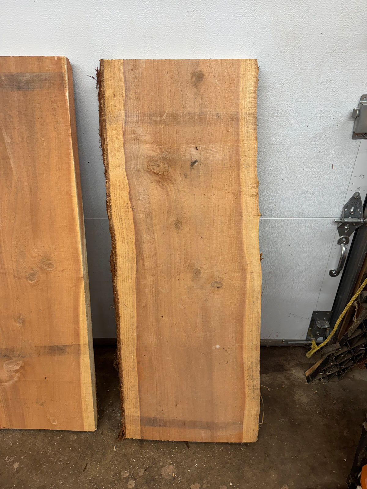 Giant Sequoia Slab Bundle – 3 Pieces – 45" Long