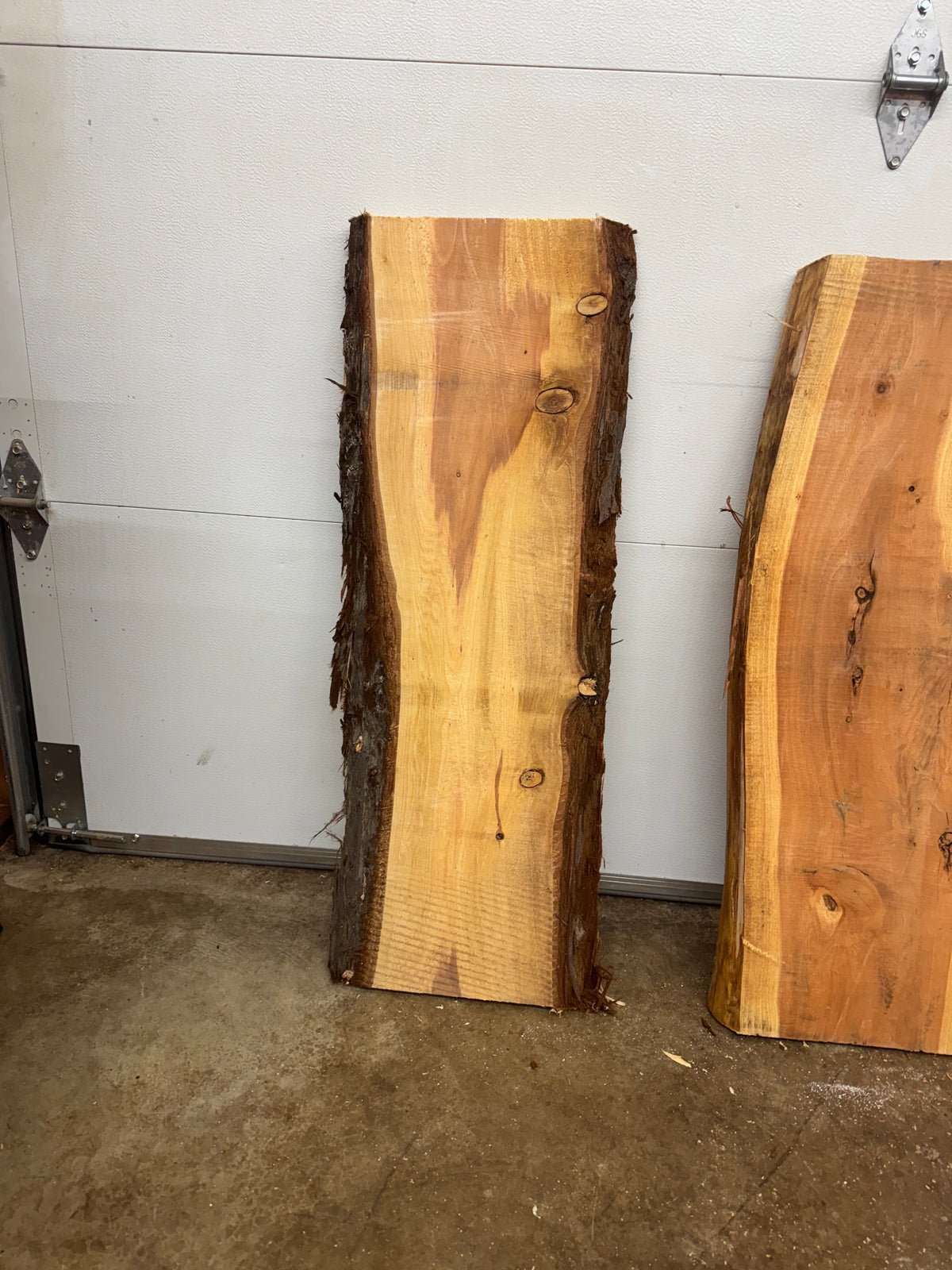 Giant Sequoia Slab Bundle – 3 Character Pieces Long