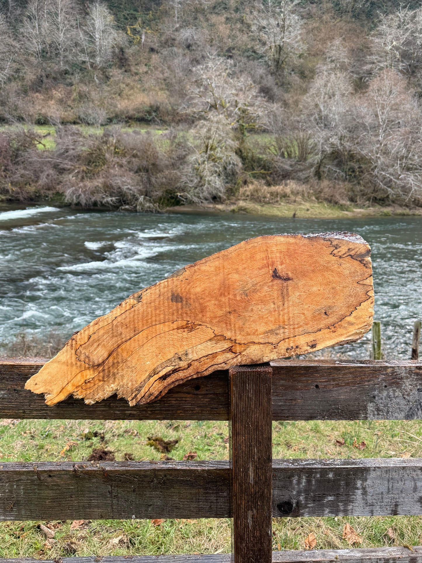 Splated Maple - 32'' x 11'' x 3''