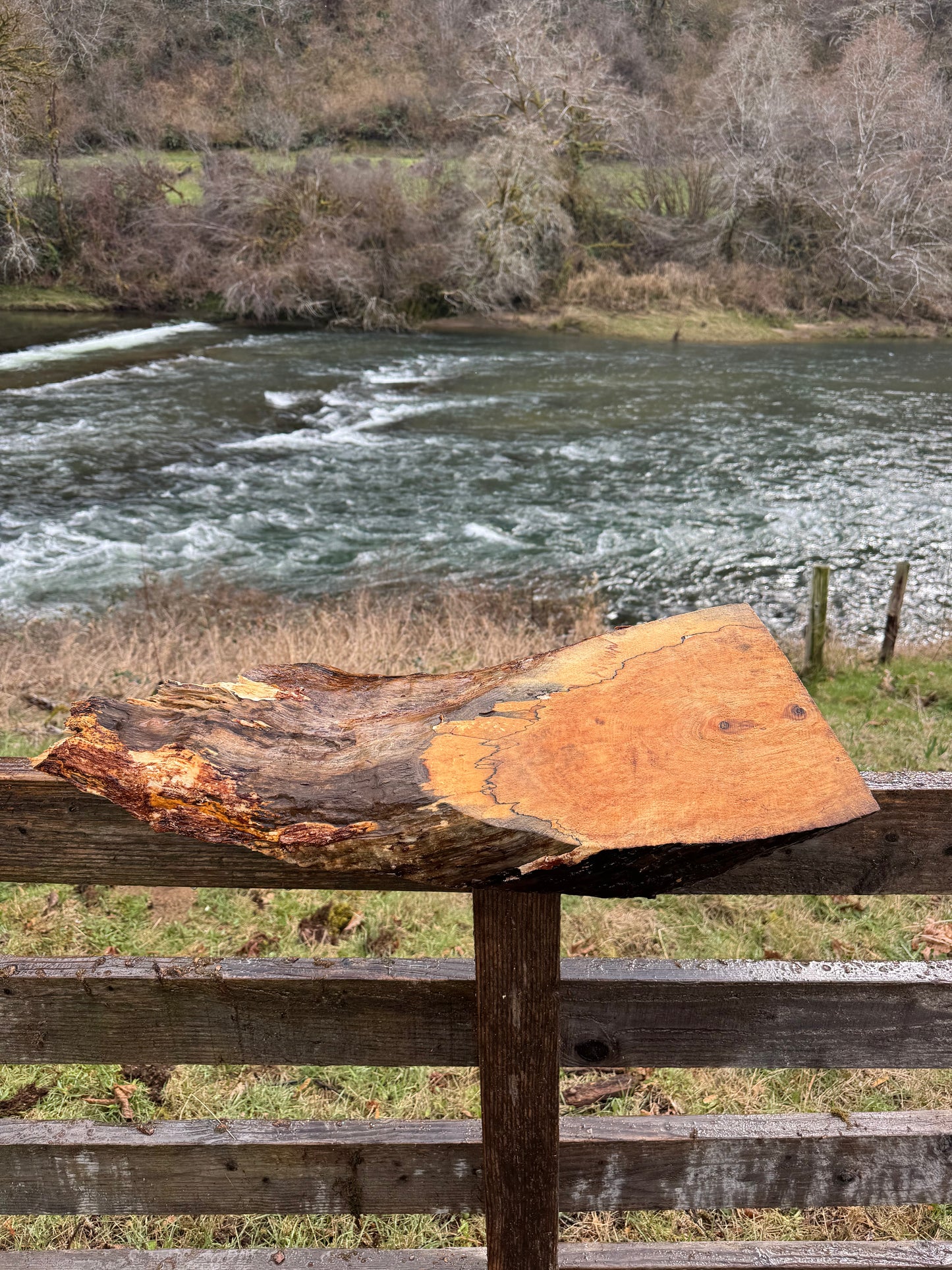 Splated Maple - 32'' x 11'' x 3''