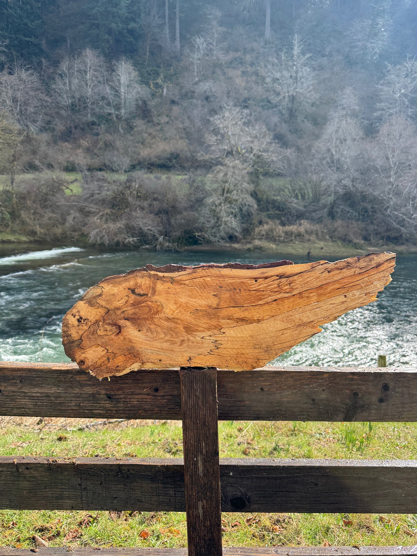 Splated Maple - 33'' x 11'' x 3''