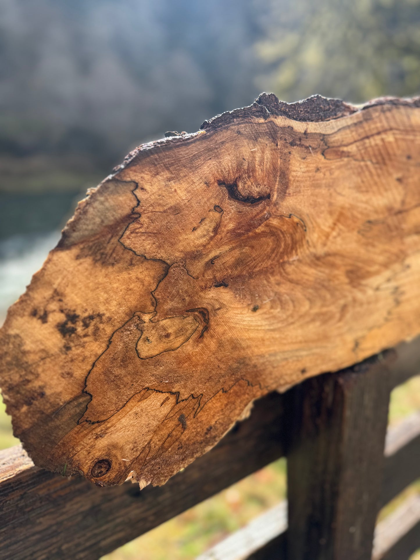 Splated Maple - 33'' x 11'' x 3''