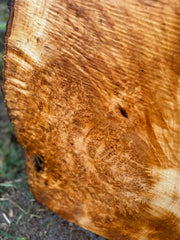 Figured Maple Burl Slab - 48" x 18" x 2.25"
