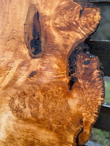 Figured Maple Burl Slab - 48" x 18" x 2.25"