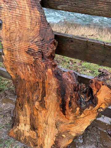 Rare Spalted Maple Slab – 53"x28"x2"
