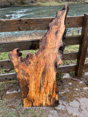 Rare Spalted Maple Slab – 53"x28"x2"