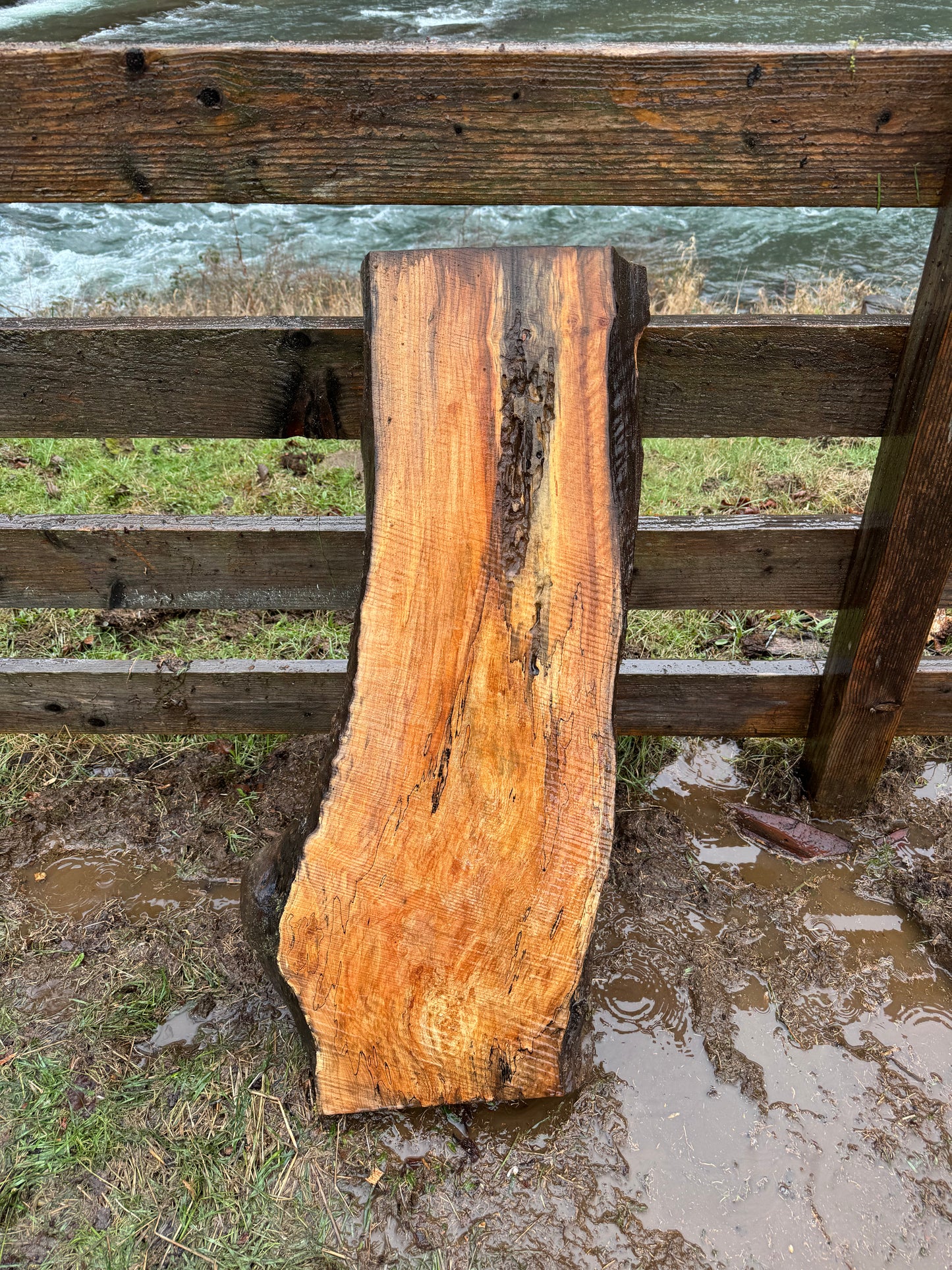 Live Edge Spalted Maple Slab – 39"x18"x2.5"