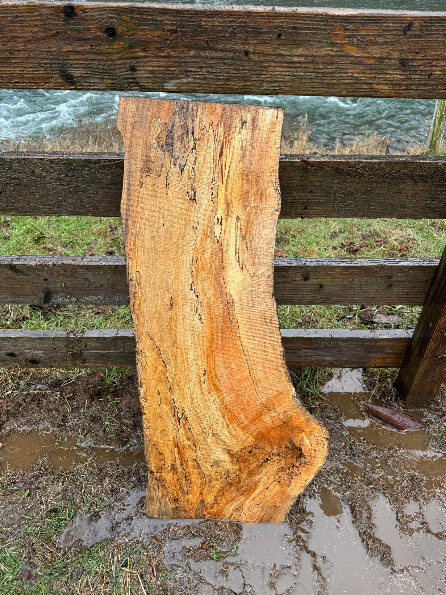 Live Edge Spalted Maple Slab – 39"x18"x2.5"