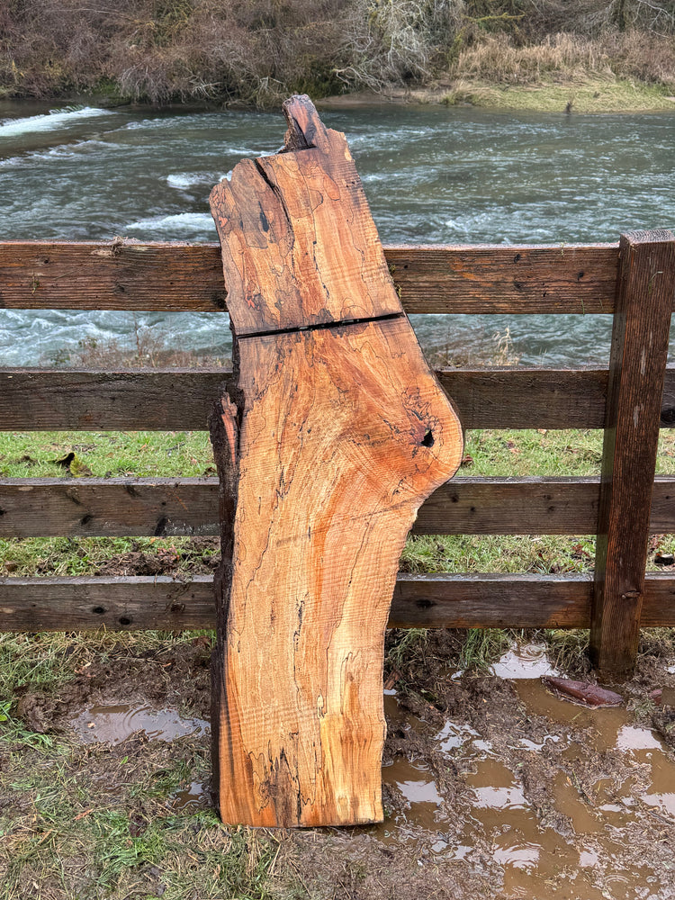 Live Edge Spalted Maple Slab – 58"x21"x2"