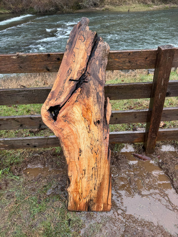 Live Edge Spalted Maple Slab – 58"x21"x2"