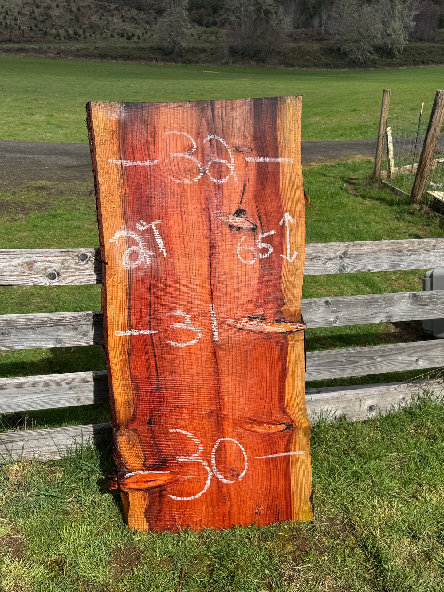 Giant Sequoia Redwood Slab - Live Edges - 65" x 32" x 2"