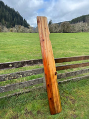 Giant Sequoia Redwood Slab- 91" x 12" x 3" - Live Edge - Mantel