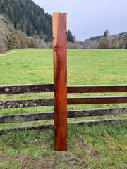 Giant Sequoia Redwood - 90" x 8.75" x 2" - Square