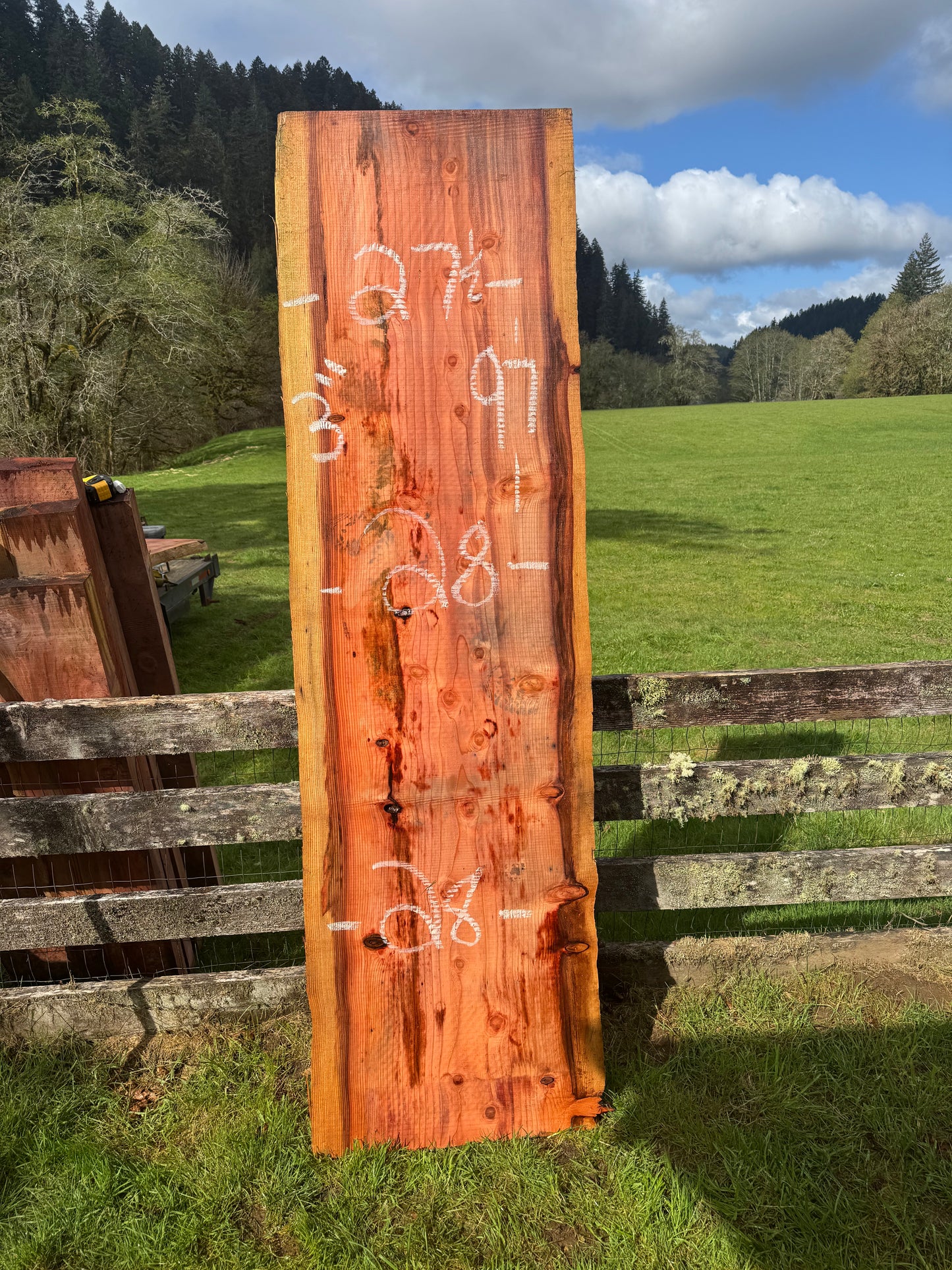 Giant Sequoia Redwood Slab - 97" x 28" x 3" - Live Edges