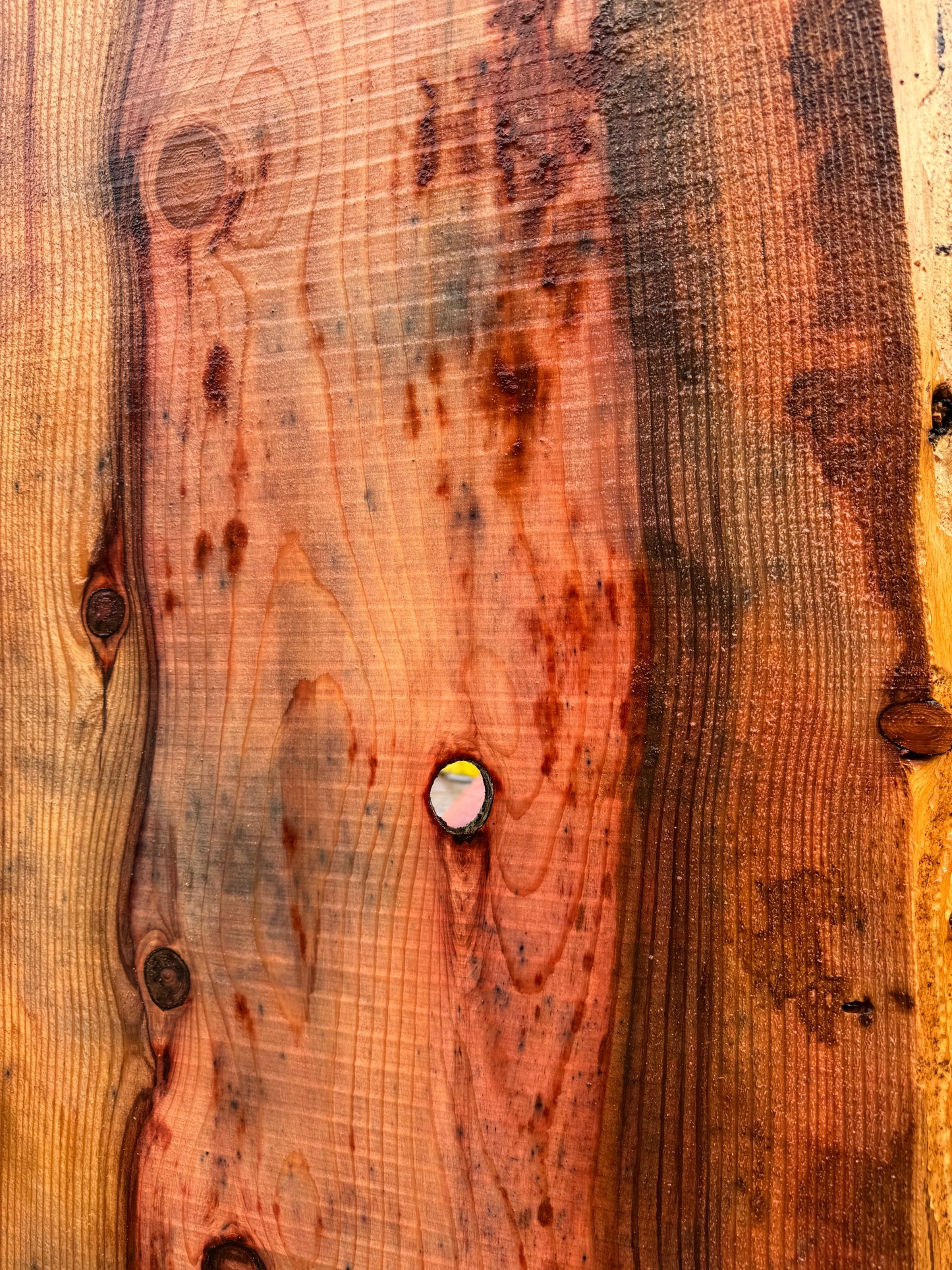 Giant Sequoia Redwood Slab - 97" x 26" x 3" - Live Edges