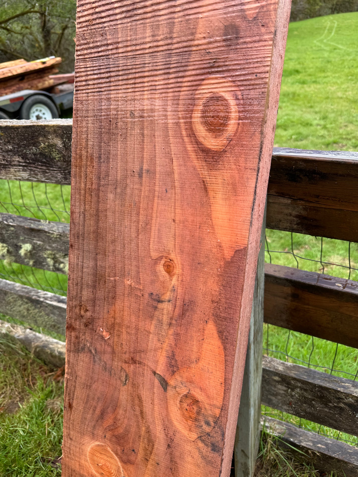 Giant Sequoia Redwood - 69" x 10" x 3" - Square Edges