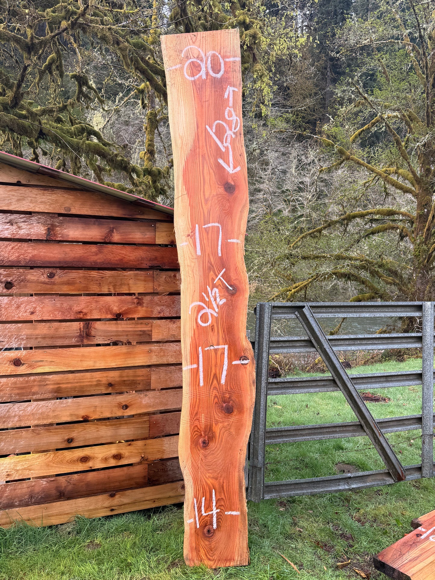 Western Red Cedar Slab- 128" x 20" x 2.5" - Live Edges
