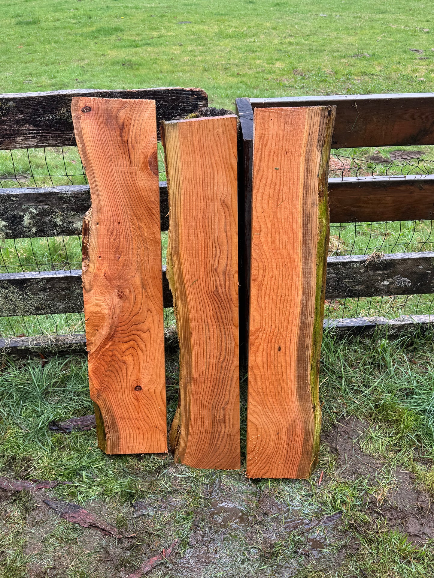 Western Red Cedar - 42" x 9" x 2" - Live Edge