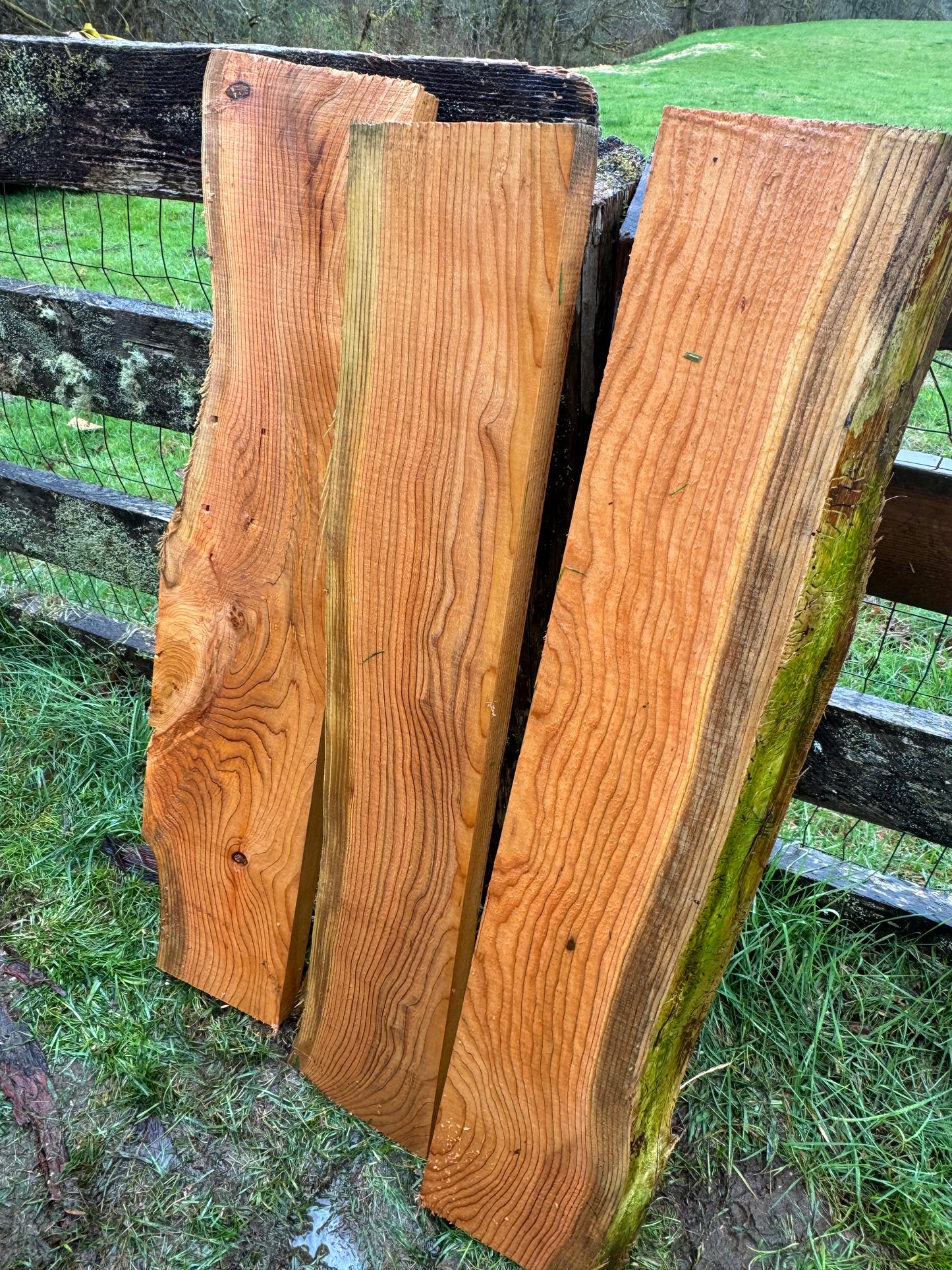 Western Red Cedar - 42" x 9" x 2" - Live Edge