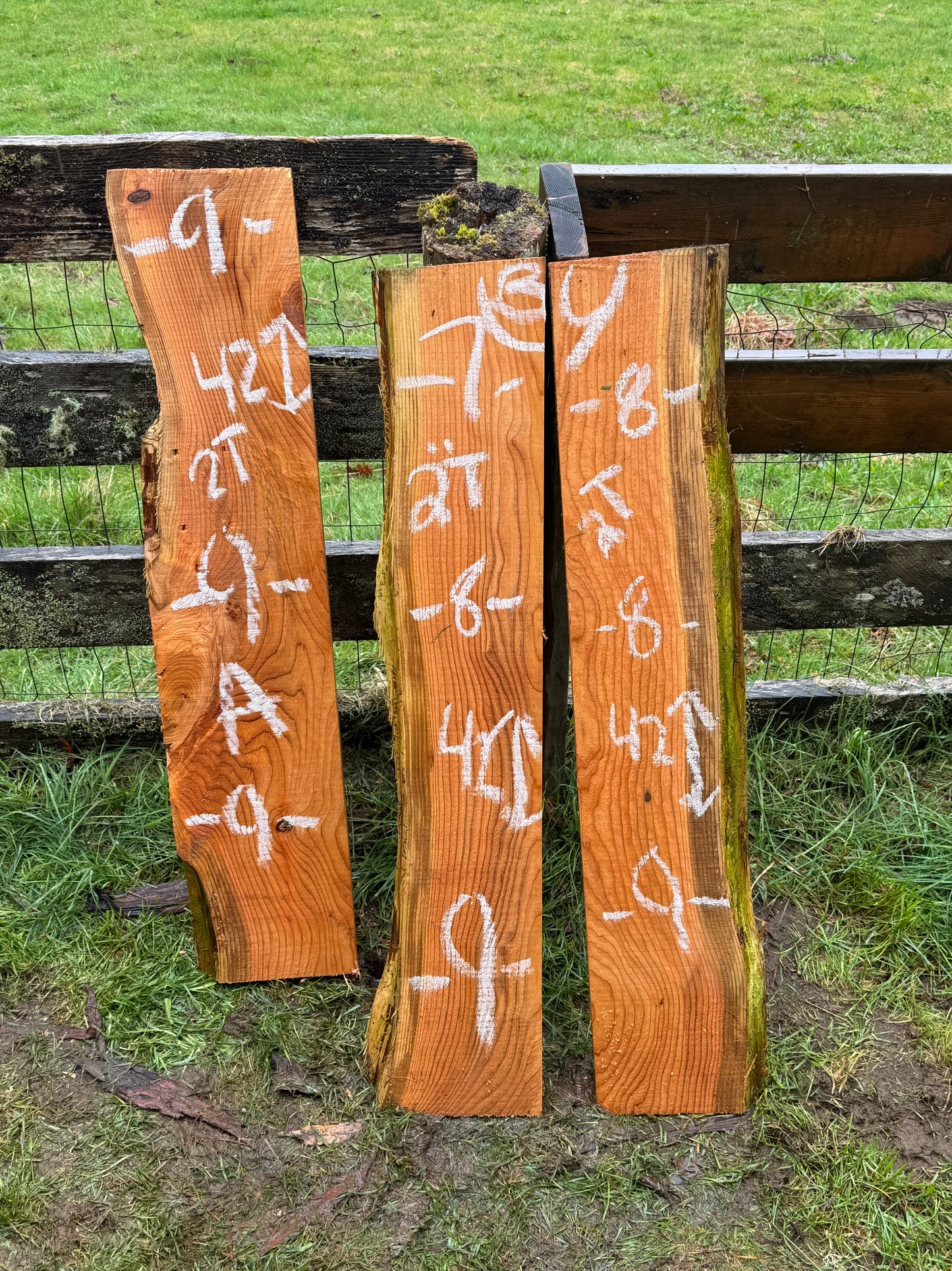 Western Red Cedar - 42" x 9" x 2" - Live Edge
