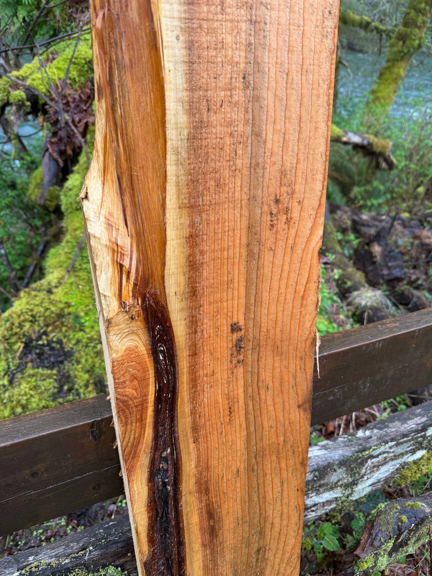 Western Red Cedar- 62" x 9" x 2"