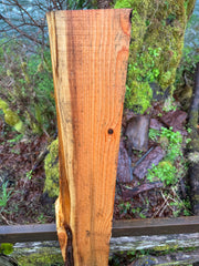Western Red Cedar- 62" x 9" x 2"