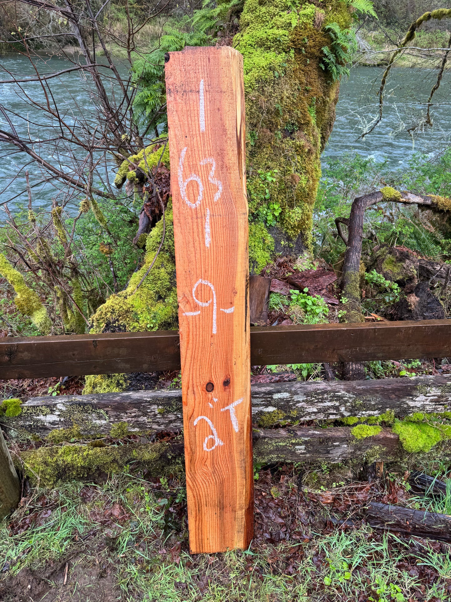 Western Red Cedar- 63" x 9" x 2"