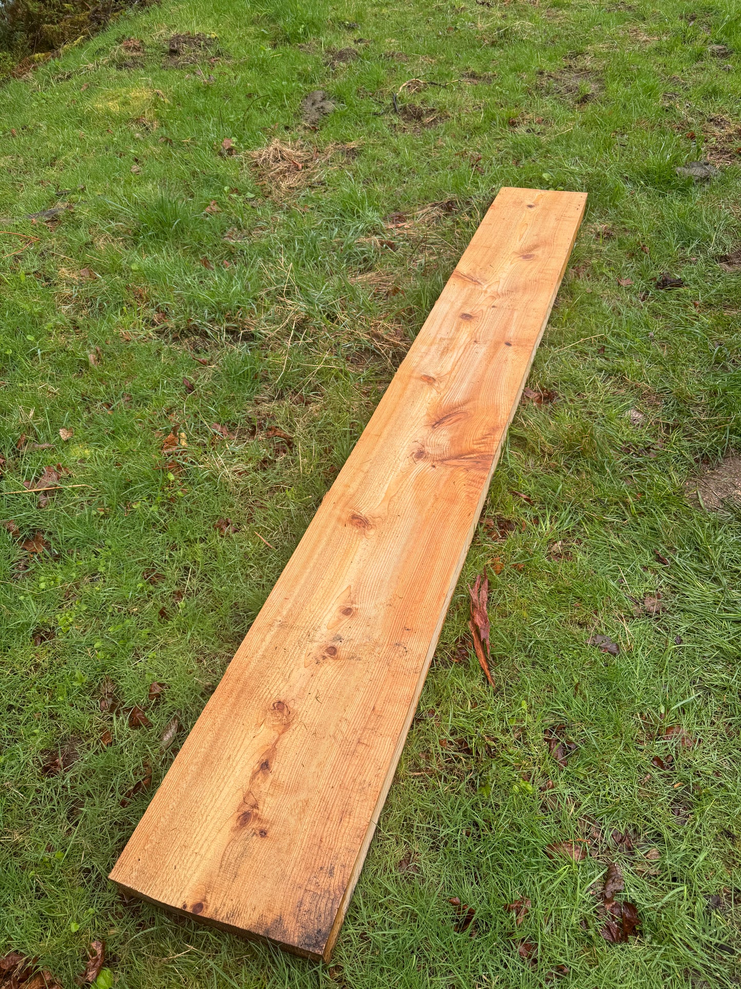Western Red Cedar - 128" x 16" x 3.25"