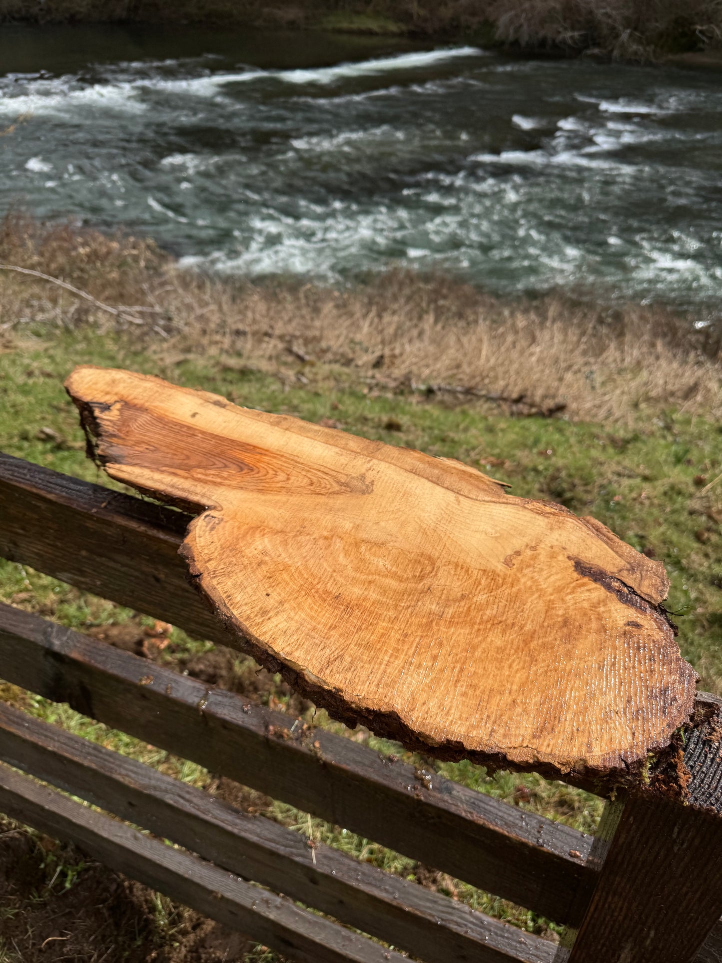Ash Burl Slab 28" x 11" x 3"