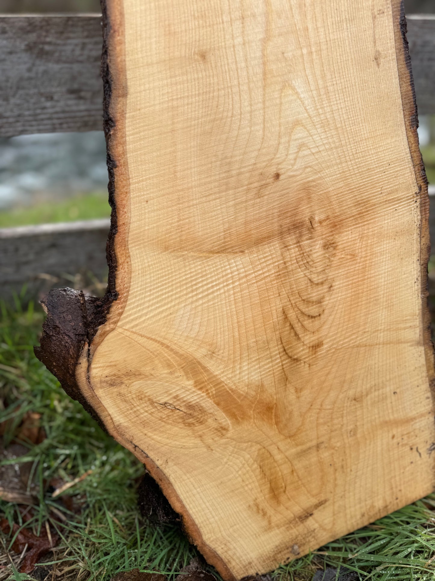 Live Edge Ash 56" x 16" x 3"