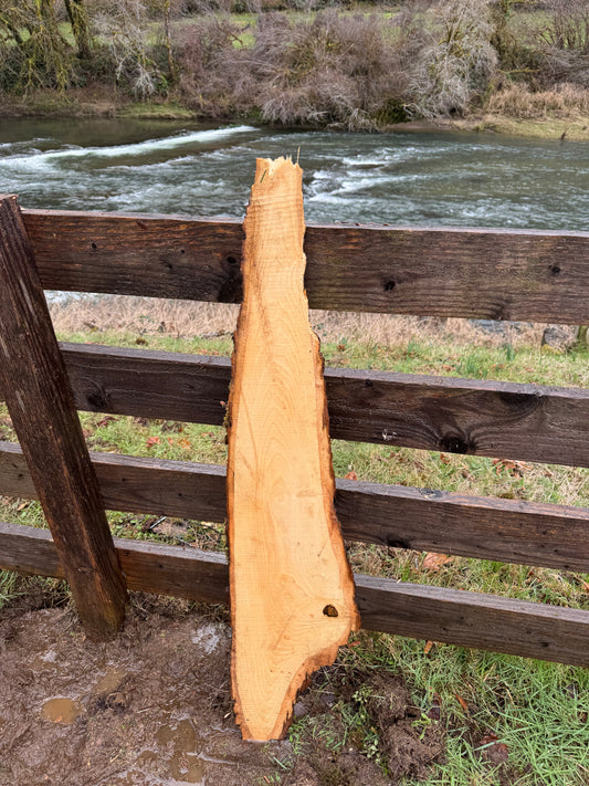 Live Edge Ash Slab 47" x 10" x 1.5"