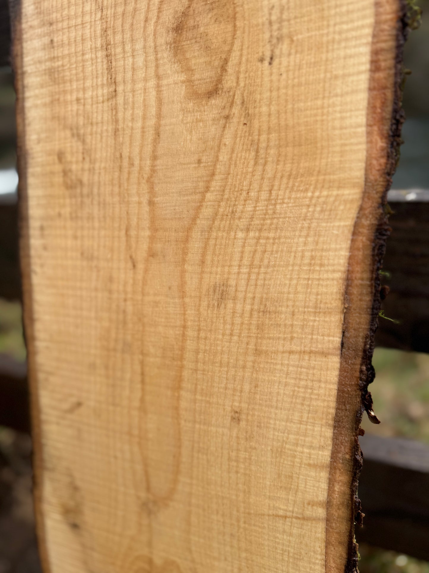 Live Edge Ash Slab 35" x 10" x 2"