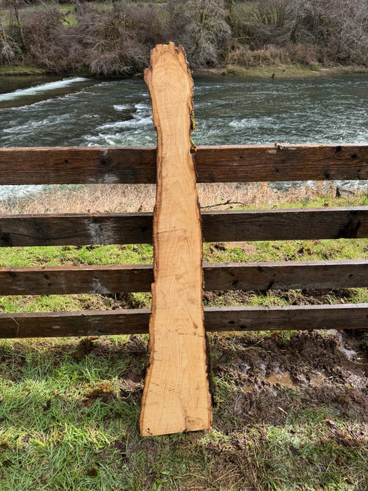 Live Edge Ash Slab 61" x 12" x 1.75"