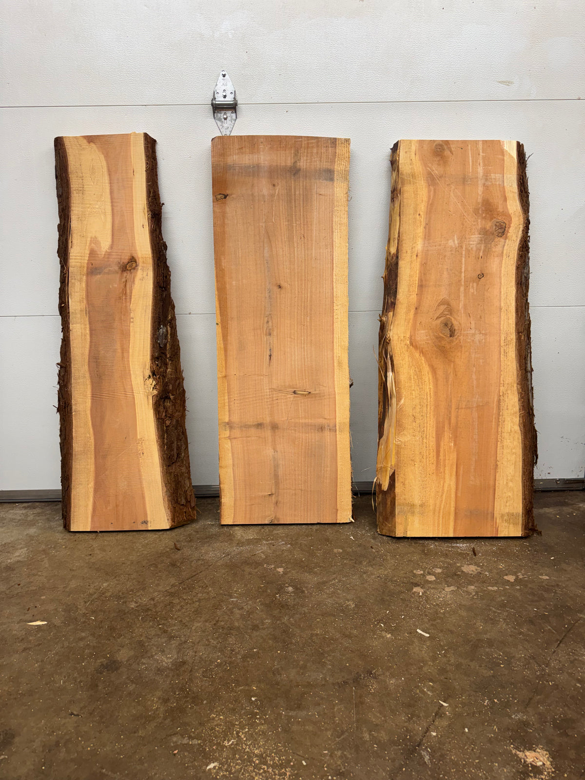Giant Sequoia Slab Bundle – 3 Pieces – 45" Long