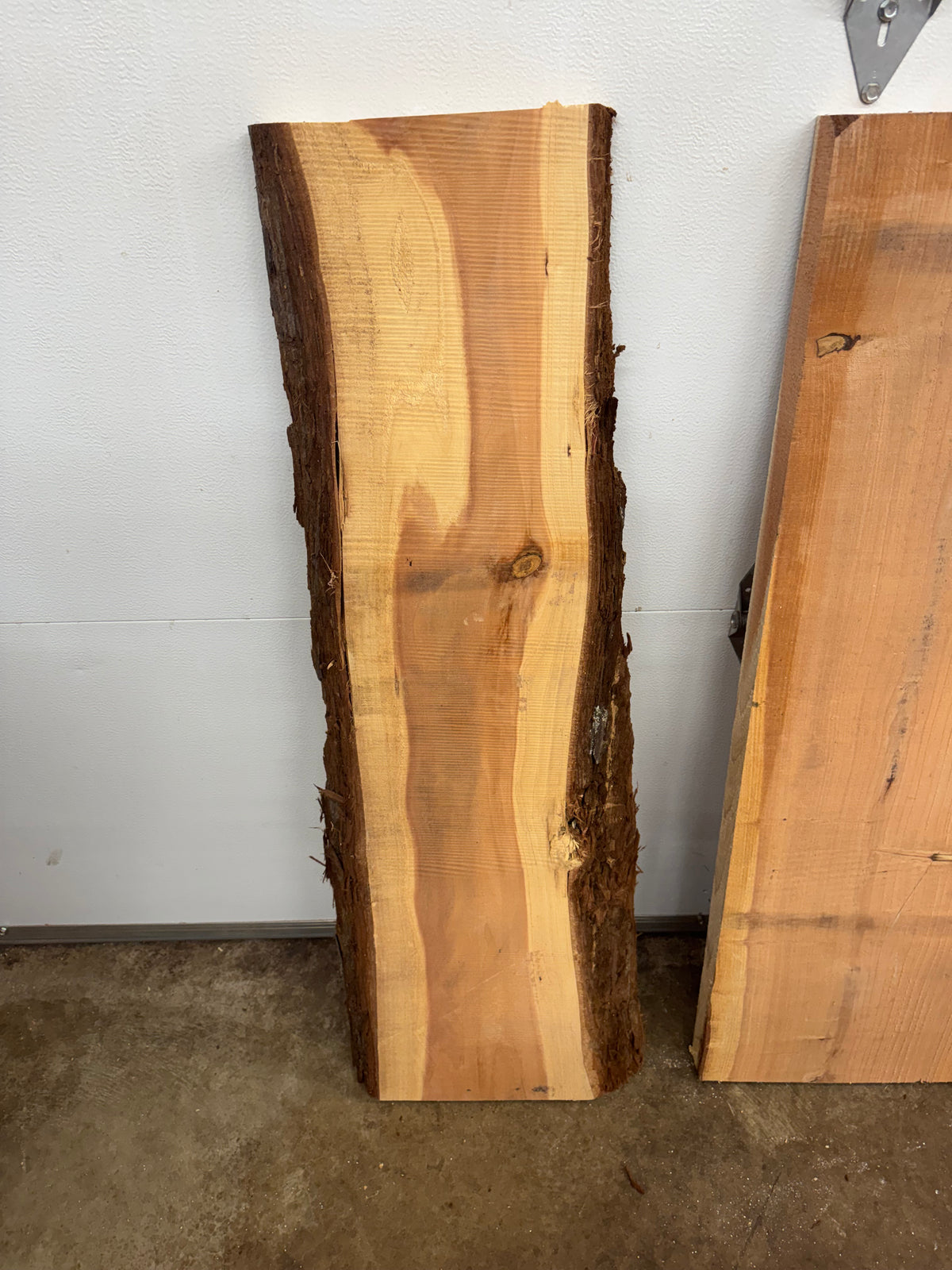 Giant Sequoia Slab Bundle – 3 Pieces – 45" Long