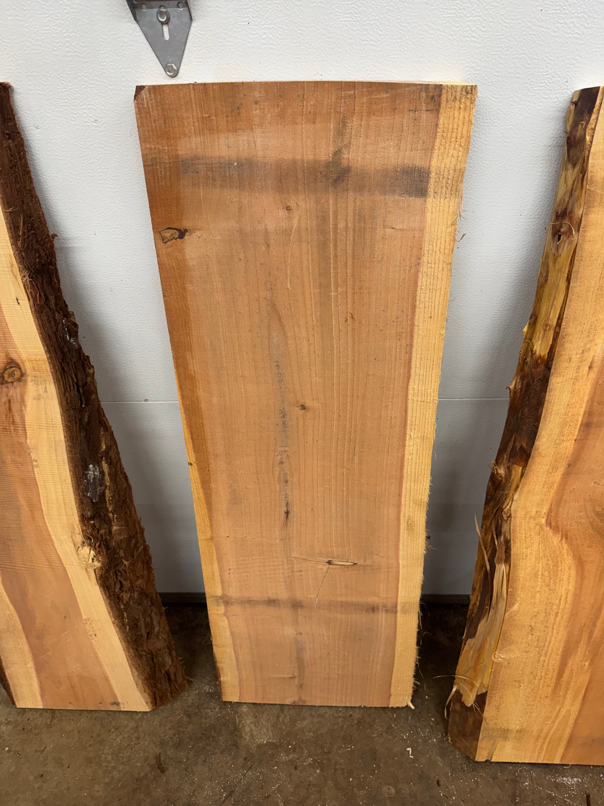 Giant Sequoia Slab Bundle – 3 Pieces – 45" Long